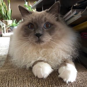 Meet your Posher, Aneta